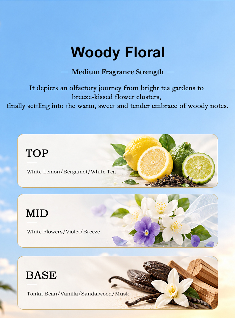 1619-sky-realm-fragrance-oil (3).jpg